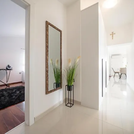 Apartment Absolute Gray